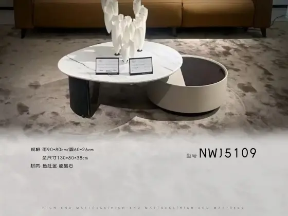 NWJ5109茶几