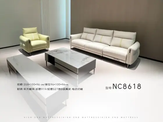 NC8618