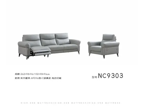 NC9303