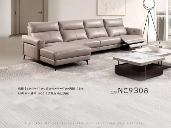 NC9308