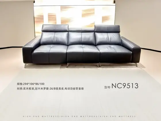 NC9513