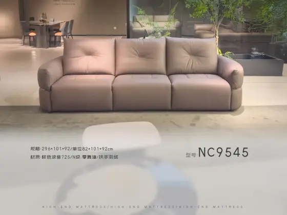 NC9545