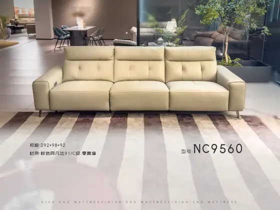 NC9560