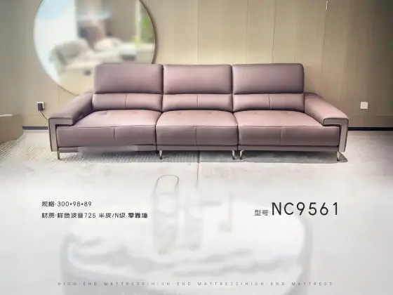 NC9561