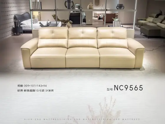 NC9565