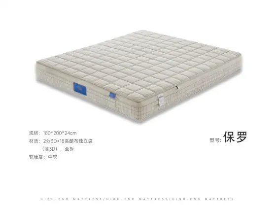 保罗