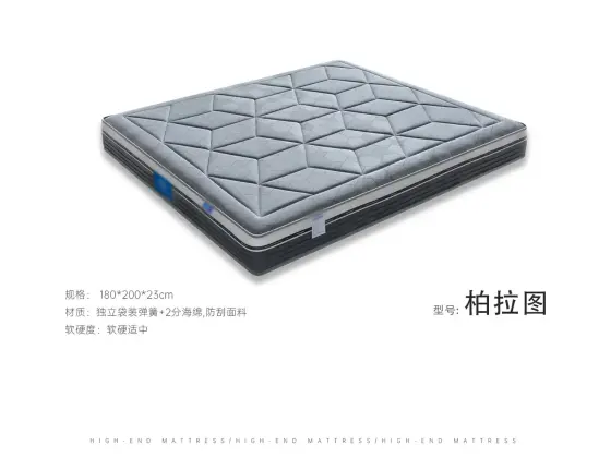 柏拉图