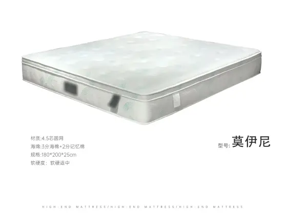 莫伊尼