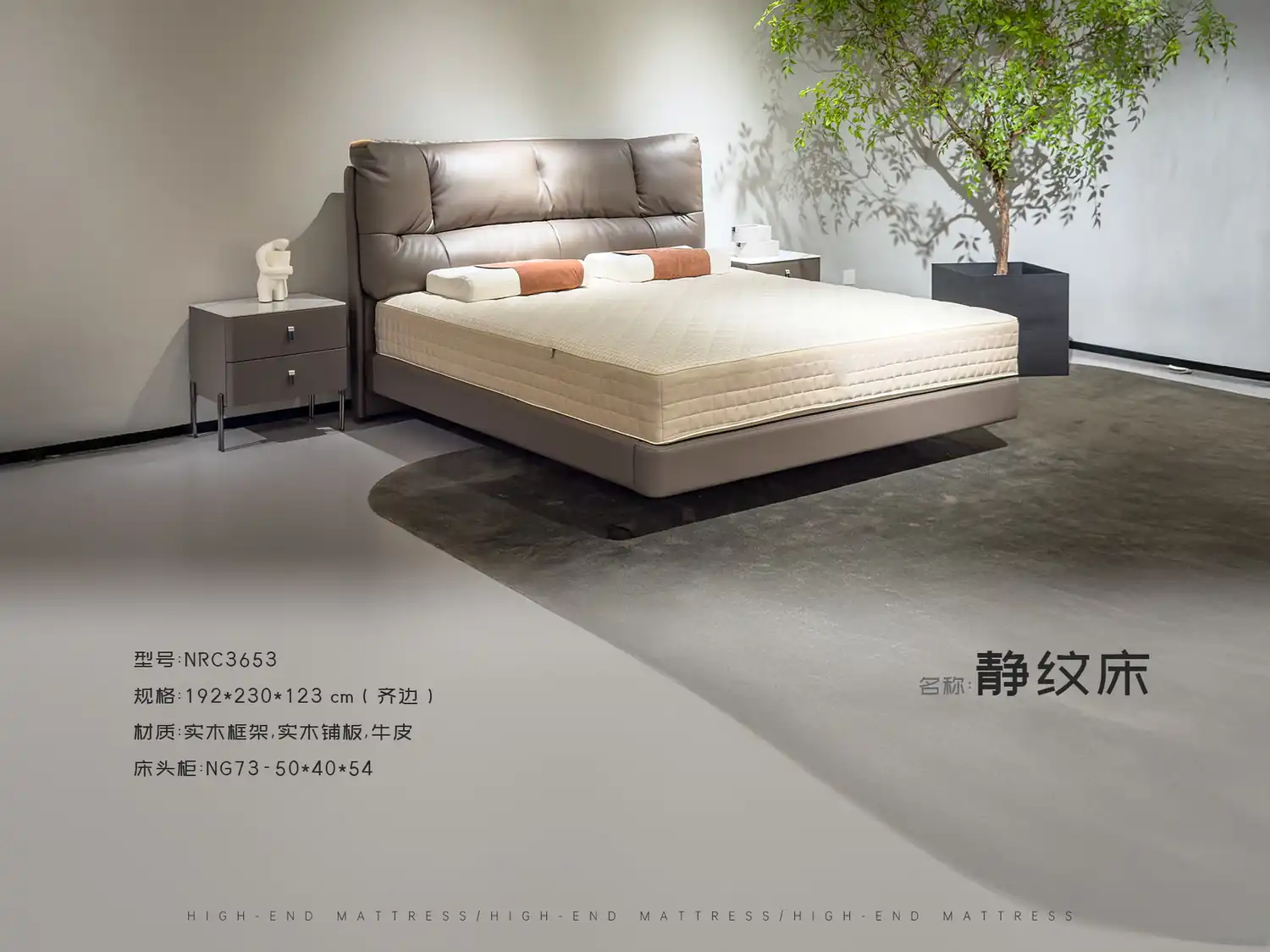 NRC3653 角度图 2