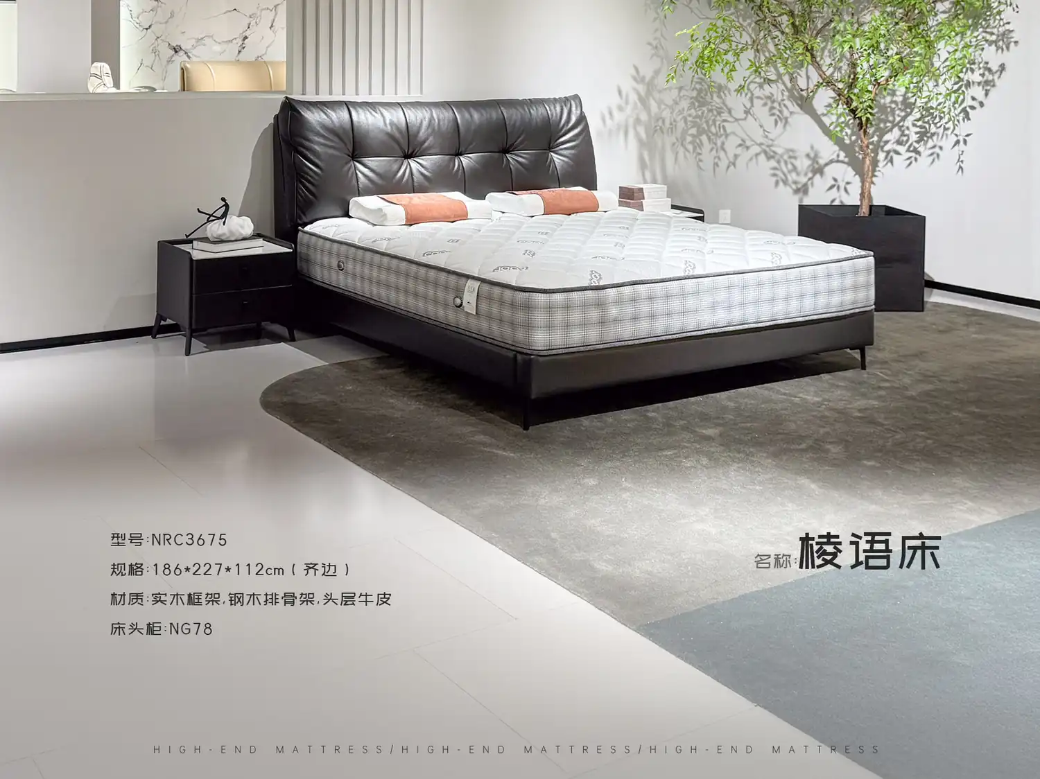NRC3675 角度图 2