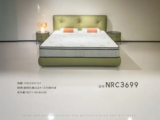 NRC3699