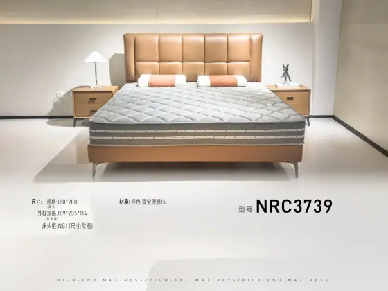 NRC3739