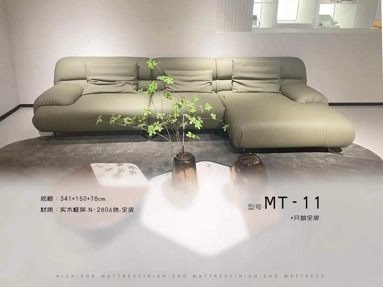 MT-11 角度图 2