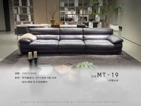 MT-19