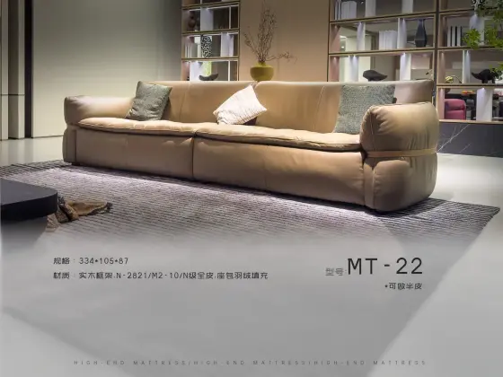 MT-22