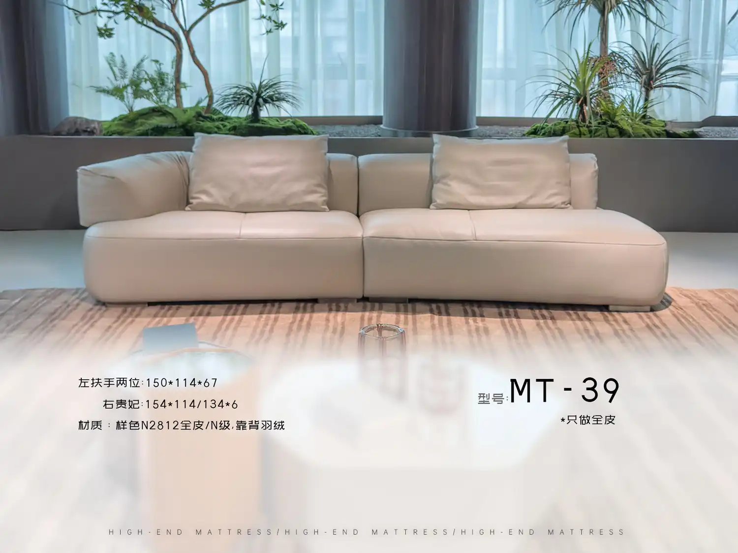 MT-39 角度图 2