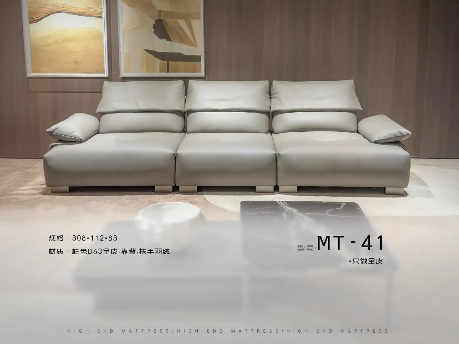 MT-41 角度图 2