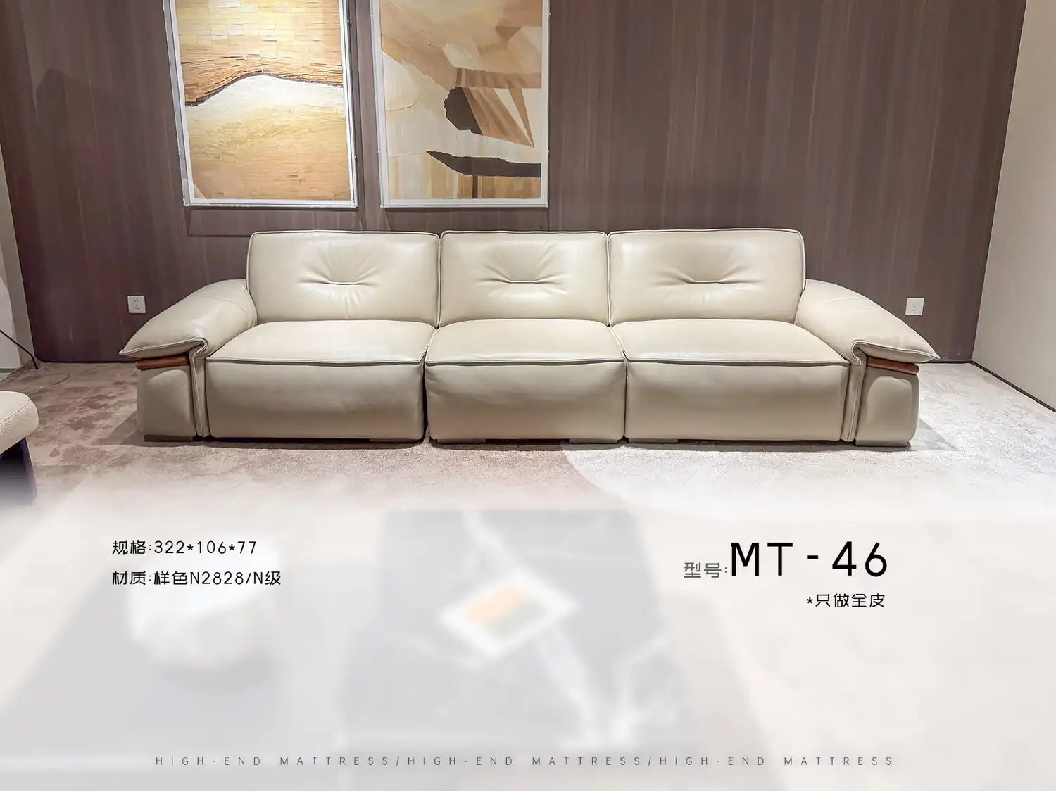 MT-46 角度图 2