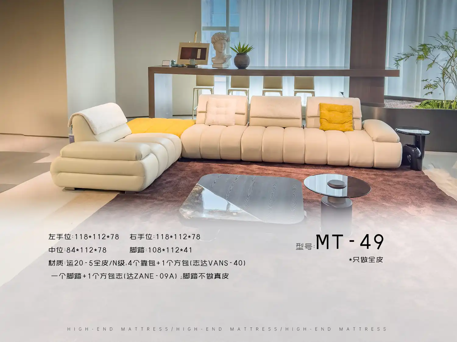 MT-49 角度图 2