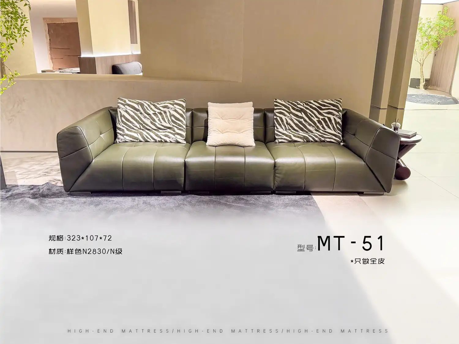 MT-51 角度图 2